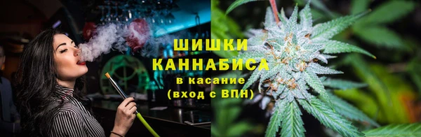 PSILOCYBIN Горнозаводск