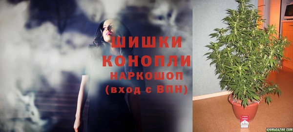 крисы Бикин