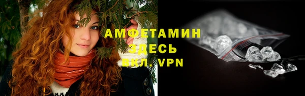 крисы Няндома