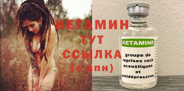 крисы Няндома