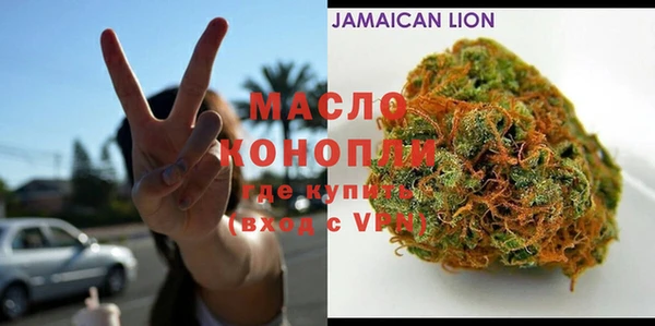 крисы Няндома